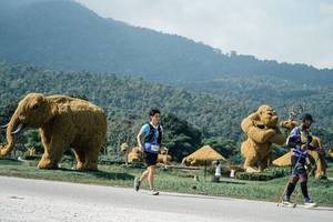 BIB: 
                            <button type="button" onclick="openModal(25932980)" class="btn btn-primary btn-sm float-right btn-popup" data-toggle="modal" data-target=".modal-high-quality">
                        <i class="fas fa-shopping-cart"></i> Add to Cart
                    </button>
                                            <button type="button" onclick="isThisMe(25932980, true)" class="btn btn-success btn-sm float-right btn-popup btn-isme hidden" data-toggle="tooltip" data-placement="bottom" title="นี่คือรูปของคุณใช่ไหม คลิกที่นี่เพื่อเอาเข้าอัลบั้ม">
                        <i class="fas fa-plus"></i> Add to album
                    </button>
                    <button type="button" onclick="isThisMe(25932980, false)" class="btn btn-warning btn-sm float-right btn-popup btn-isnotme hidden">
                        <i class="fas fa-ban"></i> Remove from album
                    </button>