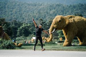 BIB: 
                            <button type="button" onclick="openModal(25911951)" class="btn btn-primary btn-sm float-right btn-popup" data-toggle="modal" data-target=".modal-high-quality">
                        <i class="fas fa-shopping-cart"></i> Add to Cart
                    </button>
                                            <button type="button" onclick="isThisMe(25911951, true)" class="btn btn-success btn-sm float-right btn-popup btn-isme hidden" data-toggle="tooltip" data-placement="bottom" title="นี่คือรูปของคุณใช่ไหม คลิกที่นี่เพื่อเอาเข้าอัลบั้ม">
                        <i class="fas fa-plus"></i> Add to album
                    </button>
                    <button type="button" onclick="isThisMe(25911951, false)" class="btn btn-warning btn-sm float-right btn-popup btn-isnotme hidden">
                        <i class="fas fa-ban"></i> Remove from album
                    </button>