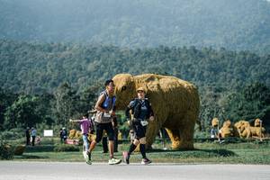 BIB: 
                            <button type="button" onclick="openModal(25882601)" class="btn btn-primary btn-sm float-right btn-popup" data-toggle="modal" data-target=".modal-high-quality">
                        <i class="fas fa-shopping-cart"></i> Add to Cart
                    </button>
                                            <button type="button" onclick="isThisMe(25882601, true)" class="btn btn-success btn-sm float-right btn-popup btn-isme hidden" data-toggle="tooltip" data-placement="bottom" title="นี่คือรูปของคุณใช่ไหม คลิกที่นี่เพื่อเอาเข้าอัลบั้ม">
                        <i class="fas fa-plus"></i> Add to album
                    </button>
                    <button type="button" onclick="isThisMe(25882601, false)" class="btn btn-warning btn-sm float-right btn-popup btn-isnotme hidden">
                        <i class="fas fa-ban"></i> Remove from album
                    </button>