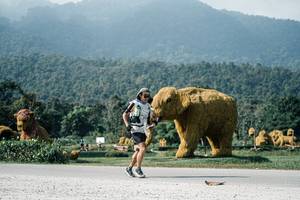 BIB: 
                            <button type="button" onclick="openModal(25892986)" class="btn btn-primary btn-sm float-right btn-popup" data-toggle="modal" data-target=".modal-high-quality">
                        <i class="fas fa-shopping-cart"></i> Add to Cart
                    </button>
                                            <button type="button" onclick="isThisMe(25892986, true)" class="btn btn-success btn-sm float-right btn-popup btn-isme hidden" data-toggle="tooltip" data-placement="bottom" title="นี่คือรูปของคุณใช่ไหม คลิกที่นี่เพื่อเอาเข้าอัลบั้ม">
                        <i class="fas fa-plus"></i> Add to album
                    </button>
                    <button type="button" onclick="isThisMe(25892986, false)" class="btn btn-warning btn-sm float-right btn-popup btn-isnotme hidden">
                        <i class="fas fa-ban"></i> Remove from album
                    </button>