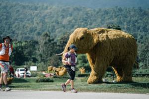 BIB: 
                            <button type="button" onclick="openModal(25922408)" class="btn btn-primary btn-sm float-right btn-popup" data-toggle="modal" data-target=".modal-high-quality">
                        <i class="fas fa-shopping-cart"></i> Add to Cart
                    </button>
                                            <button type="button" onclick="isThisMe(25922408, true)" class="btn btn-success btn-sm float-right btn-popup btn-isme hidden" data-toggle="tooltip" data-placement="bottom" title="นี่คือรูปของคุณใช่ไหม คลิกที่นี่เพื่อเอาเข้าอัลบั้ม">
                        <i class="fas fa-plus"></i> Add to album
                    </button>
                    <button type="button" onclick="isThisMe(25922408, false)" class="btn btn-warning btn-sm float-right btn-popup btn-isnotme hidden">
                        <i class="fas fa-ban"></i> Remove from album
                    </button>