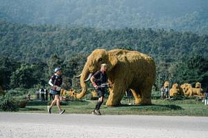 BIB: 
                            <button type="button" onclick="openModal(25875487)" class="btn btn-primary btn-sm float-right btn-popup" data-toggle="modal" data-target=".modal-high-quality">
                        <i class="fas fa-shopping-cart"></i> Add to Cart
                    </button>
                                            <button type="button" onclick="isThisMe(25875487, true)" class="btn btn-success btn-sm float-right btn-popup btn-isme hidden" data-toggle="tooltip" data-placement="bottom" title="นี่คือรูปของคุณใช่ไหม คลิกที่นี่เพื่อเอาเข้าอัลบั้ม">
                        <i class="fas fa-plus"></i> Add to album
                    </button>
                    <button type="button" onclick="isThisMe(25875487, false)" class="btn btn-warning btn-sm float-right btn-popup btn-isnotme hidden">
                        <i class="fas fa-ban"></i> Remove from album
                    </button>