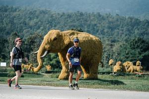 BIB: 
                            <button type="button" onclick="openModal(25894780)" class="btn btn-primary btn-sm float-right btn-popup" data-toggle="modal" data-target=".modal-high-quality">
                        <i class="fas fa-shopping-cart"></i> Add to Cart
                    </button>
                                            <button type="button" onclick="isThisMe(25894780, true)" class="btn btn-success btn-sm float-right btn-popup btn-isme hidden" data-toggle="tooltip" data-placement="bottom" title="นี่คือรูปของคุณใช่ไหม คลิกที่นี่เพื่อเอาเข้าอัลบั้ม">
                        <i class="fas fa-plus"></i> Add to album
                    </button>
                    <button type="button" onclick="isThisMe(25894780, false)" class="btn btn-warning btn-sm float-right btn-popup btn-isnotme hidden">
                        <i class="fas fa-ban"></i> Remove from album
                    </button>