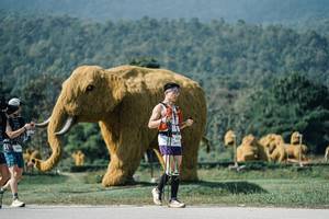 BIB: 
                            <button type="button" onclick="openModal(25899809)" class="btn btn-primary btn-sm float-right btn-popup" data-toggle="modal" data-target=".modal-high-quality">
                        <i class="fas fa-shopping-cart"></i> Add to Cart
                    </button>
                                            <button type="button" onclick="isThisMe(25899809, true)" class="btn btn-success btn-sm float-right btn-popup btn-isme hidden" data-toggle="tooltip" data-placement="bottom" title="นี่คือรูปของคุณใช่ไหม คลิกที่นี่เพื่อเอาเข้าอัลบั้ม">
                        <i class="fas fa-plus"></i> Add to album
                    </button>
                    <button type="button" onclick="isThisMe(25899809, false)" class="btn btn-warning btn-sm float-right btn-popup btn-isnotme hidden">
                        <i class="fas fa-ban"></i> Remove from album
                    </button>