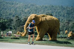 BIB: 
                            <button type="button" onclick="openModal(25933459)" class="btn btn-primary btn-sm float-right btn-popup" data-toggle="modal" data-target=".modal-high-quality">
                        <i class="fas fa-shopping-cart"></i> Add to Cart
                    </button>
                                            <button type="button" onclick="isThisMe(25933459, true)" class="btn btn-success btn-sm float-right btn-popup btn-isme hidden" data-toggle="tooltip" data-placement="bottom" title="นี่คือรูปของคุณใช่ไหม คลิกที่นี่เพื่อเอาเข้าอัลบั้ม">
                        <i class="fas fa-plus"></i> Add to album
                    </button>
                    <button type="button" onclick="isThisMe(25933459, false)" class="btn btn-warning btn-sm float-right btn-popup btn-isnotme hidden">
                        <i class="fas fa-ban"></i> Remove from album
                    </button>