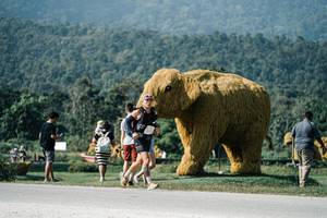 BIB: 
                            <button type="button" onclick="openModal(25884315)" class="btn btn-primary btn-sm float-right btn-popup" data-toggle="modal" data-target=".modal-high-quality">
                        <i class="fas fa-shopping-cart"></i> Add to Cart
                    </button>
                                            <button type="button" onclick="isThisMe(25884315, true)" class="btn btn-success btn-sm float-right btn-popup btn-isme hidden" data-toggle="tooltip" data-placement="bottom" title="นี่คือรูปของคุณใช่ไหม คลิกที่นี่เพื่อเอาเข้าอัลบั้ม">
                        <i class="fas fa-plus"></i> Add to album
                    </button>
                    <button type="button" onclick="isThisMe(25884315, false)" class="btn btn-warning btn-sm float-right btn-popup btn-isnotme hidden">
                        <i class="fas fa-ban"></i> Remove from album
                    </button>