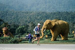 BIB: 
                            <button type="button" onclick="openModal(25871826)" class="btn btn-primary btn-sm float-right btn-popup" data-toggle="modal" data-target=".modal-high-quality">
                        <i class="fas fa-shopping-cart"></i> Add to Cart
                    </button>
                                            <button type="button" onclick="isThisMe(25871826, true)" class="btn btn-success btn-sm float-right btn-popup btn-isme hidden" data-toggle="tooltip" data-placement="bottom" title="นี่คือรูปของคุณใช่ไหม คลิกที่นี่เพื่อเอาเข้าอัลบั้ม">
                        <i class="fas fa-plus"></i> Add to album
                    </button>
                    <button type="button" onclick="isThisMe(25871826, false)" class="btn btn-warning btn-sm float-right btn-popup btn-isnotme hidden">
                        <i class="fas fa-ban"></i> Remove from album
                    </button>