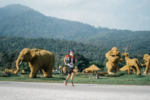 BIB: 
                            <button type="button" onclick="openModal(25872639)" class="btn btn-primary btn-sm float-right btn-popup" data-toggle="modal" data-target=".modal-high-quality">
                        <i class="fas fa-shopping-cart"></i> Add to Cart
                    </button>
                                            <button type="button" onclick="isThisMe(25872639, true)" class="btn btn-success btn-sm float-right btn-popup btn-isme hidden" data-toggle="tooltip" data-placement="bottom" title="นี่คือรูปของคุณใช่ไหม คลิกที่นี่เพื่อเอาเข้าอัลบั้ม">
                        <i class="fas fa-plus"></i> Add to album
                    </button>
                    <button type="button" onclick="isThisMe(25872639, false)" class="btn btn-warning btn-sm float-right btn-popup btn-isnotme hidden">
                        <i class="fas fa-ban"></i> Remove from album
                    </button>