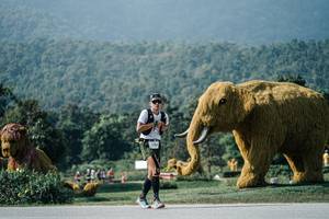 BIB: 
                            <button type="button" onclick="openModal(25906008)" class="btn btn-primary btn-sm float-right btn-popup" data-toggle="modal" data-target=".modal-high-quality">
                        <i class="fas fa-shopping-cart"></i> Add to Cart
                    </button>
                                            <button type="button" onclick="isThisMe(25906008, true)" class="btn btn-success btn-sm float-right btn-popup btn-isme hidden" data-toggle="tooltip" data-placement="bottom" title="นี่คือรูปของคุณใช่ไหม คลิกที่นี่เพื่อเอาเข้าอัลบั้ม">
                        <i class="fas fa-plus"></i> Add to album
                    </button>
                    <button type="button" onclick="isThisMe(25906008, false)" class="btn btn-warning btn-sm float-right btn-popup btn-isnotme hidden">
                        <i class="fas fa-ban"></i> Remove from album
                    </button>