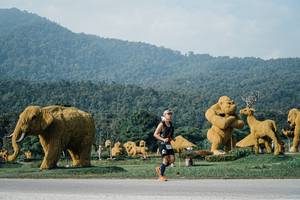 BIB: 
                            <button type="button" onclick="openModal(25871645)" class="btn btn-primary btn-sm float-right btn-popup" data-toggle="modal" data-target=".modal-high-quality">
                        <i class="fas fa-shopping-cart"></i> Add to Cart
                    </button>
                                            <button type="button" onclick="isThisMe(25871645, true)" class="btn btn-success btn-sm float-right btn-popup btn-isme hidden" data-toggle="tooltip" data-placement="bottom" title="นี่คือรูปของคุณใช่ไหม คลิกที่นี่เพื่อเอาเข้าอัลบั้ม">
                        <i class="fas fa-plus"></i> Add to album
                    </button>
                    <button type="button" onclick="isThisMe(25871645, false)" class="btn btn-warning btn-sm float-right btn-popup btn-isnotme hidden">
                        <i class="fas fa-ban"></i> Remove from album
                    </button>