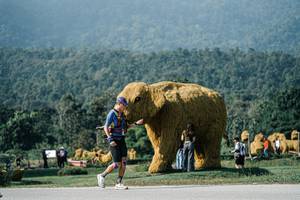 BIB: 
                            <button type="button" onclick="openModal(25883099)" class="btn btn-primary btn-sm float-right btn-popup" data-toggle="modal" data-target=".modal-high-quality">
                        <i class="fas fa-shopping-cart"></i> Add to Cart
                    </button>
                                            <button type="button" onclick="isThisMe(25883099, true)" class="btn btn-success btn-sm float-right btn-popup btn-isme hidden" data-toggle="tooltip" data-placement="bottom" title="นี่คือรูปของคุณใช่ไหม คลิกที่นี่เพื่อเอาเข้าอัลบั้ม">
                        <i class="fas fa-plus"></i> Add to album
                    </button>
                    <button type="button" onclick="isThisMe(25883099, false)" class="btn btn-warning btn-sm float-right btn-popup btn-isnotme hidden">
                        <i class="fas fa-ban"></i> Remove from album
                    </button>