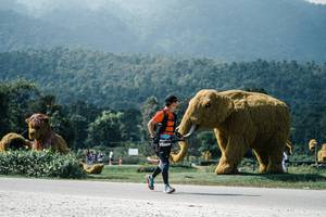 BIB: 
                            <button type="button" onclick="openModal(25962892)" class="btn btn-primary btn-sm float-right btn-popup" data-toggle="modal" data-target=".modal-high-quality">
                        <i class="fas fa-shopping-cart"></i> Add to Cart
                    </button>
                                            <button type="button" onclick="isThisMe(25962892, true)" class="btn btn-success btn-sm float-right btn-popup btn-isme hidden" data-toggle="tooltip" data-placement="bottom" title="นี่คือรูปของคุณใช่ไหม คลิกที่นี่เพื่อเอาเข้าอัลบั้ม">
                        <i class="fas fa-plus"></i> Add to album
                    </button>
                    <button type="button" onclick="isThisMe(25962892, false)" class="btn btn-warning btn-sm float-right btn-popup btn-isnotme hidden">
                        <i class="fas fa-ban"></i> Remove from album
                    </button>