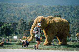 BIB: 
                            <button type="button" onclick="openModal(25923566)" class="btn btn-primary btn-sm float-right btn-popup" data-toggle="modal" data-target=".modal-high-quality">
                        <i class="fas fa-shopping-cart"></i> Add to Cart
                    </button>
                                            <button type="button" onclick="isThisMe(25923566, true)" class="btn btn-success btn-sm float-right btn-popup btn-isme hidden" data-toggle="tooltip" data-placement="bottom" title="นี่คือรูปของคุณใช่ไหม คลิกที่นี่เพื่อเอาเข้าอัลบั้ม">
                        <i class="fas fa-plus"></i> Add to album
                    </button>
                    <button type="button" onclick="isThisMe(25923566, false)" class="btn btn-warning btn-sm float-right btn-popup btn-isnotme hidden">
                        <i class="fas fa-ban"></i> Remove from album
                    </button>