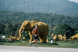 BIB: 
                            <button type="button" onclick="openModal(25873730)" class="btn btn-primary btn-sm float-right btn-popup" data-toggle="modal" data-target=".modal-high-quality">
                        <i class="fas fa-shopping-cart"></i> Add to Cart
                    </button>
                                            <button type="button" onclick="isThisMe(25873730, true)" class="btn btn-success btn-sm float-right btn-popup btn-isme hidden" data-toggle="tooltip" data-placement="bottom" title="นี่คือรูปของคุณใช่ไหม คลิกที่นี่เพื่อเอาเข้าอัลบั้ม">
                        <i class="fas fa-plus"></i> Add to album
                    </button>
                    <button type="button" onclick="isThisMe(25873730, false)" class="btn btn-warning btn-sm float-right btn-popup btn-isnotme hidden">
                        <i class="fas fa-ban"></i> Remove from album
                    </button>