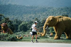 BIB: 
                            <button type="button" onclick="openModal(25944701)" class="btn btn-primary btn-sm float-right btn-popup" data-toggle="modal" data-target=".modal-high-quality">
                        <i class="fas fa-shopping-cart"></i> Add to Cart
                    </button>
                                            <button type="button" onclick="isThisMe(25944701, true)" class="btn btn-success btn-sm float-right btn-popup btn-isme hidden" data-toggle="tooltip" data-placement="bottom" title="นี่คือรูปของคุณใช่ไหม คลิกที่นี่เพื่อเอาเข้าอัลบั้ม">
                        <i class="fas fa-plus"></i> Add to album
                    </button>
                    <button type="button" onclick="isThisMe(25944701, false)" class="btn btn-warning btn-sm float-right btn-popup btn-isnotme hidden">
                        <i class="fas fa-ban"></i> Remove from album
                    </button>