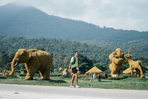 BIB: 
                            <button type="button" onclick="openModal(25919776)" class="btn btn-primary btn-sm float-right btn-popup" data-toggle="modal" data-target=".modal-high-quality">
                        <i class="fas fa-shopping-cart"></i> Add to Cart
                    </button>
                                            <button type="button" onclick="isThisMe(25919776, true)" class="btn btn-success btn-sm float-right btn-popup btn-isme hidden" data-toggle="tooltip" data-placement="bottom" title="นี่คือรูปของคุณใช่ไหม คลิกที่นี่เพื่อเอาเข้าอัลบั้ม">
                        <i class="fas fa-plus"></i> Add to album
                    </button>
                    <button type="button" onclick="isThisMe(25919776, false)" class="btn btn-warning btn-sm float-right btn-popup btn-isnotme hidden">
                        <i class="fas fa-ban"></i> Remove from album
                    </button>