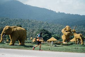 BIB: 
                            <button type="button" onclick="openModal(25935090)" class="btn btn-primary btn-sm float-right btn-popup" data-toggle="modal" data-target=".modal-high-quality">
                        <i class="fas fa-shopping-cart"></i> Add to Cart
                    </button>
                                            <button type="button" onclick="isThisMe(25935090, true)" class="btn btn-success btn-sm float-right btn-popup btn-isme hidden" data-toggle="tooltip" data-placement="bottom" title="นี่คือรูปของคุณใช่ไหม คลิกที่นี่เพื่อเอาเข้าอัลบั้ม">
                        <i class="fas fa-plus"></i> Add to album
                    </button>
                    <button type="button" onclick="isThisMe(25935090, false)" class="btn btn-warning btn-sm float-right btn-popup btn-isnotme hidden">
                        <i class="fas fa-ban"></i> Remove from album
                    </button>