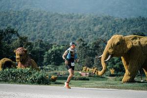 BIB: 
                            <button type="button" onclick="openModal(25896857)" class="btn btn-primary btn-sm float-right btn-popup" data-toggle="modal" data-target=".modal-high-quality">
                        <i class="fas fa-shopping-cart"></i> Add to Cart
                    </button>
                                            <button type="button" onclick="isThisMe(25896857, true)" class="btn btn-success btn-sm float-right btn-popup btn-isme hidden" data-toggle="tooltip" data-placement="bottom" title="นี่คือรูปของคุณใช่ไหม คลิกที่นี่เพื่อเอาเข้าอัลบั้ม">
                        <i class="fas fa-plus"></i> Add to album
                    </button>
                    <button type="button" onclick="isThisMe(25896857, false)" class="btn btn-warning btn-sm float-right btn-popup btn-isnotme hidden">
                        <i class="fas fa-ban"></i> Remove from album
                    </button>