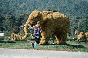 BIB: 
                            <button type="button" onclick="openModal(25902851)" class="btn btn-primary btn-sm float-right btn-popup" data-toggle="modal" data-target=".modal-high-quality">
                        <i class="fas fa-shopping-cart"></i> Add to Cart
                    </button>
                                            <button type="button" onclick="isThisMe(25902851, true)" class="btn btn-success btn-sm float-right btn-popup btn-isme hidden" data-toggle="tooltip" data-placement="bottom" title="นี่คือรูปของคุณใช่ไหม คลิกที่นี่เพื่อเอาเข้าอัลบั้ม">
                        <i class="fas fa-plus"></i> Add to album
                    </button>
                    <button type="button" onclick="isThisMe(25902851, false)" class="btn btn-warning btn-sm float-right btn-popup btn-isnotme hidden">
                        <i class="fas fa-ban"></i> Remove from album
                    </button>