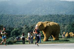 BIB: 
                            <button type="button" onclick="openModal(25881382)" class="btn btn-primary btn-sm float-right btn-popup" data-toggle="modal" data-target=".modal-high-quality">
                        <i class="fas fa-shopping-cart"></i> Add to Cart
                    </button>
                                            <button type="button" onclick="isThisMe(25881382, true)" class="btn btn-success btn-sm float-right btn-popup btn-isme hidden" data-toggle="tooltip" data-placement="bottom" title="นี่คือรูปของคุณใช่ไหม คลิกที่นี่เพื่อเอาเข้าอัลบั้ม">
                        <i class="fas fa-plus"></i> Add to album
                    </button>
                    <button type="button" onclick="isThisMe(25881382, false)" class="btn btn-warning btn-sm float-right btn-popup btn-isnotme hidden">
                        <i class="fas fa-ban"></i> Remove from album
                    </button>