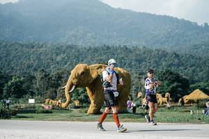 BIB: 
                            <button type="button" onclick="openModal(25883426)" class="btn btn-primary btn-sm float-right btn-popup" data-toggle="modal" data-target=".modal-high-quality">
                        <i class="fas fa-shopping-cart"></i> Add to Cart
                    </button>
                                            <button type="button" onclick="isThisMe(25883426, true)" class="btn btn-success btn-sm float-right btn-popup btn-isme hidden" data-toggle="tooltip" data-placement="bottom" title="นี่คือรูปของคุณใช่ไหม คลิกที่นี่เพื่อเอาเข้าอัลบั้ม">
                        <i class="fas fa-plus"></i> Add to album
                    </button>
                    <button type="button" onclick="isThisMe(25883426, false)" class="btn btn-warning btn-sm float-right btn-popup btn-isnotme hidden">
                        <i class="fas fa-ban"></i> Remove from album
                    </button>