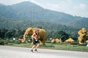 BIB: 
                            <button type="button" onclick="openModal(25870345)" class="btn btn-primary btn-sm float-right btn-popup" data-toggle="modal" data-target=".modal-high-quality">
                        <i class="fas fa-shopping-cart"></i> Add to Cart
                    </button>
                                            <button type="button" onclick="isThisMe(25870345, true)" class="btn btn-success btn-sm float-right btn-popup btn-isme hidden" data-toggle="tooltip" data-placement="bottom" title="นี่คือรูปของคุณใช่ไหม คลิกที่นี่เพื่อเอาเข้าอัลบั้ม">
                        <i class="fas fa-plus"></i> Add to album
                    </button>
                    <button type="button" onclick="isThisMe(25870345, false)" class="btn btn-warning btn-sm float-right btn-popup btn-isnotme hidden">
                        <i class="fas fa-ban"></i> Remove from album
                    </button>