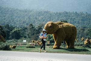 BIB: 
                            <button type="button" onclick="openModal(25981645)" class="btn btn-primary btn-sm float-right btn-popup" data-toggle="modal" data-target=".modal-high-quality">
                        <i class="fas fa-shopping-cart"></i> Add to Cart
                    </button>
                                            <button type="button" onclick="isThisMe(25981645, true)" class="btn btn-success btn-sm float-right btn-popup btn-isme hidden" data-toggle="tooltip" data-placement="bottom" title="นี่คือรูปของคุณใช่ไหม คลิกที่นี่เพื่อเอาเข้าอัลบั้ม">
                        <i class="fas fa-plus"></i> Add to album
                    </button>
                    <button type="button" onclick="isThisMe(25981645, false)" class="btn btn-warning btn-sm float-right btn-popup btn-isnotme hidden">
                        <i class="fas fa-ban"></i> Remove from album
                    </button>