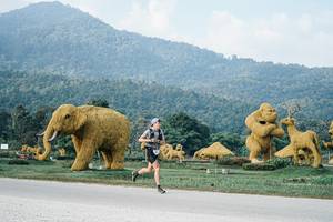 BIB: 
                            <button type="button" onclick="openModal(25869964)" class="btn btn-primary btn-sm float-right btn-popup" data-toggle="modal" data-target=".modal-high-quality">
                        <i class="fas fa-shopping-cart"></i> Add to Cart
                    </button>
                                            <button type="button" onclick="isThisMe(25869964, true)" class="btn btn-success btn-sm float-right btn-popup btn-isme hidden" data-toggle="tooltip" data-placement="bottom" title="นี่คือรูปของคุณใช่ไหม คลิกที่นี่เพื่อเอาเข้าอัลบั้ม">
                        <i class="fas fa-plus"></i> Add to album
                    </button>
                    <button type="button" onclick="isThisMe(25869964, false)" class="btn btn-warning btn-sm float-right btn-popup btn-isnotme hidden">
                        <i class="fas fa-ban"></i> Remove from album
                    </button>