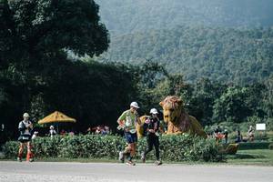 BIB: 
                            <button type="button" onclick="openModal(25885075)" class="btn btn-primary btn-sm float-right btn-popup" data-toggle="modal" data-target=".modal-high-quality">
                        <i class="fas fa-shopping-cart"></i> Add to Cart
                    </button>
                                            <button type="button" onclick="isThisMe(25885075, true)" class="btn btn-success btn-sm float-right btn-popup btn-isme hidden" data-toggle="tooltip" data-placement="bottom" title="นี่คือรูปของคุณใช่ไหม คลิกที่นี่เพื่อเอาเข้าอัลบั้ม">
                        <i class="fas fa-plus"></i> Add to album
                    </button>
                    <button type="button" onclick="isThisMe(25885075, false)" class="btn btn-warning btn-sm float-right btn-popup btn-isnotme hidden">
                        <i class="fas fa-ban"></i> Remove from album
                    </button>