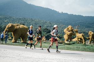 BIB: 
                            <button type="button" onclick="openModal(25936194)" class="btn btn-primary btn-sm float-right btn-popup" data-toggle="modal" data-target=".modal-high-quality">
                        <i class="fas fa-shopping-cart"></i> Add to Cart
                    </button>
                                            <button type="button" onclick="isThisMe(25936194, true)" class="btn btn-success btn-sm float-right btn-popup btn-isme hidden" data-toggle="tooltip" data-placement="bottom" title="นี่คือรูปของคุณใช่ไหม คลิกที่นี่เพื่อเอาเข้าอัลบั้ม">
                        <i class="fas fa-plus"></i> Add to album
                    </button>
                    <button type="button" onclick="isThisMe(25936194, false)" class="btn btn-warning btn-sm float-right btn-popup btn-isnotme hidden">
                        <i class="fas fa-ban"></i> Remove from album
                    </button>