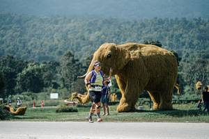 BIB: 
                            <button type="button" onclick="openModal(25956065)" class="btn btn-primary btn-sm float-right btn-popup" data-toggle="modal" data-target=".modal-high-quality">
                        <i class="fas fa-shopping-cart"></i> Add to Cart
                    </button>
                                            <button type="button" onclick="isThisMe(25956065, true)" class="btn btn-success btn-sm float-right btn-popup btn-isme hidden" data-toggle="tooltip" data-placement="bottom" title="นี่คือรูปของคุณใช่ไหม คลิกที่นี่เพื่อเอาเข้าอัลบั้ม">
                        <i class="fas fa-plus"></i> Add to album
                    </button>
                    <button type="button" onclick="isThisMe(25956065, false)" class="btn btn-warning btn-sm float-right btn-popup btn-isnotme hidden">
                        <i class="fas fa-ban"></i> Remove from album
                    </button>