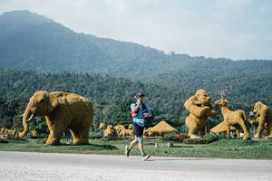 BIB: 
                            <button type="button" onclick="openModal(25887117)" class="btn btn-primary btn-sm float-right btn-popup" data-toggle="modal" data-target=".modal-high-quality">
                        <i class="fas fa-shopping-cart"></i> Add to Cart
                    </button>
                                            <button type="button" onclick="isThisMe(25887117, true)" class="btn btn-success btn-sm float-right btn-popup btn-isme hidden" data-toggle="tooltip" data-placement="bottom" title="นี่คือรูปของคุณใช่ไหม คลิกที่นี่เพื่อเอาเข้าอัลบั้ม">
                        <i class="fas fa-plus"></i> Add to album
                    </button>
                    <button type="button" onclick="isThisMe(25887117, false)" class="btn btn-warning btn-sm float-right btn-popup btn-isnotme hidden">
                        <i class="fas fa-ban"></i> Remove from album
                    </button>