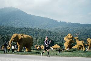 BIB: 
                            <button type="button" onclick="openModal(25876236)" class="btn btn-primary btn-sm float-right btn-popup" data-toggle="modal" data-target=".modal-high-quality">
                        <i class="fas fa-shopping-cart"></i> Add to Cart
                    </button>
                                            <button type="button" onclick="isThisMe(25876236, true)" class="btn btn-success btn-sm float-right btn-popup btn-isme hidden" data-toggle="tooltip" data-placement="bottom" title="นี่คือรูปของคุณใช่ไหม คลิกที่นี่เพื่อเอาเข้าอัลบั้ม">
                        <i class="fas fa-plus"></i> Add to album
                    </button>
                    <button type="button" onclick="isThisMe(25876236, false)" class="btn btn-warning btn-sm float-right btn-popup btn-isnotme hidden">
                        <i class="fas fa-ban"></i> Remove from album
                    </button>