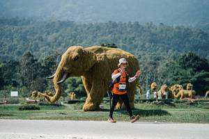 BIB: 
                            <button type="button" onclick="openModal(25967218)" class="btn btn-primary btn-sm float-right btn-popup" data-toggle="modal" data-target=".modal-high-quality">
                        <i class="fas fa-shopping-cart"></i> Add to Cart
                    </button>
                                            <button type="button" onclick="isThisMe(25967218, true)" class="btn btn-success btn-sm float-right btn-popup btn-isme hidden" data-toggle="tooltip" data-placement="bottom" title="นี่คือรูปของคุณใช่ไหม คลิกที่นี่เพื่อเอาเข้าอัลบั้ม">
                        <i class="fas fa-plus"></i> Add to album
                    </button>
                    <button type="button" onclick="isThisMe(25967218, false)" class="btn btn-warning btn-sm float-right btn-popup btn-isnotme hidden">
                        <i class="fas fa-ban"></i> Remove from album
                    </button>