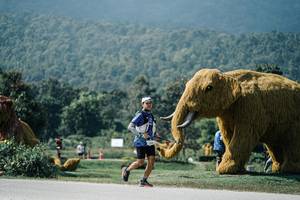 BIB: 
                            <button type="button" onclick="openModal(25942752)" class="btn btn-primary btn-sm float-right btn-popup" data-toggle="modal" data-target=".modal-high-quality">
                        <i class="fas fa-shopping-cart"></i> Add to Cart
                    </button>
                                            <button type="button" onclick="isThisMe(25942752, true)" class="btn btn-success btn-sm float-right btn-popup btn-isme hidden" data-toggle="tooltip" data-placement="bottom" title="นี่คือรูปของคุณใช่ไหม คลิกที่นี่เพื่อเอาเข้าอัลบั้ม">
                        <i class="fas fa-plus"></i> Add to album
                    </button>
                    <button type="button" onclick="isThisMe(25942752, false)" class="btn btn-warning btn-sm float-right btn-popup btn-isnotme hidden">
                        <i class="fas fa-ban"></i> Remove from album
                    </button>