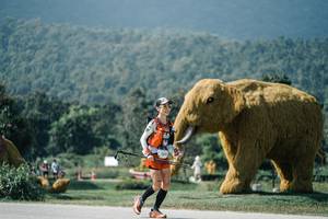 BIB: 
                            <button type="button" onclick="openModal(25921814)" class="btn btn-primary btn-sm float-right btn-popup" data-toggle="modal" data-target=".modal-high-quality">
                        <i class="fas fa-shopping-cart"></i> Add to Cart
                    </button>
                                            <button type="button" onclick="isThisMe(25921814, true)" class="btn btn-success btn-sm float-right btn-popup btn-isme hidden" data-toggle="tooltip" data-placement="bottom" title="นี่คือรูปของคุณใช่ไหม คลิกที่นี่เพื่อเอาเข้าอัลบั้ม">
                        <i class="fas fa-plus"></i> Add to album
                    </button>
                    <button type="button" onclick="isThisMe(25921814, false)" class="btn btn-warning btn-sm float-right btn-popup btn-isnotme hidden">
                        <i class="fas fa-ban"></i> Remove from album
                    </button>