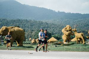 BIB: 
                            <button type="button" onclick="openModal(25911807)" class="btn btn-primary btn-sm float-right btn-popup" data-toggle="modal" data-target=".modal-high-quality">
                        <i class="fas fa-shopping-cart"></i> Add to Cart
                    </button>
                                            <button type="button" onclick="isThisMe(25911807, true)" class="btn btn-success btn-sm float-right btn-popup btn-isme hidden" data-toggle="tooltip" data-placement="bottom" title="นี่คือรูปของคุณใช่ไหม คลิกที่นี่เพื่อเอาเข้าอัลบั้ม">
                        <i class="fas fa-plus"></i> Add to album
                    </button>
                    <button type="button" onclick="isThisMe(25911807, false)" class="btn btn-warning btn-sm float-right btn-popup btn-isnotme hidden">
                        <i class="fas fa-ban"></i> Remove from album
                    </button>