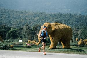 BIB: 
                            <button type="button" onclick="openModal(25897028)" class="btn btn-primary btn-sm float-right btn-popup" data-toggle="modal" data-target=".modal-high-quality">
                        <i class="fas fa-shopping-cart"></i> Add to Cart
                    </button>
                                            <button type="button" onclick="isThisMe(25897028, true)" class="btn btn-success btn-sm float-right btn-popup btn-isme hidden" data-toggle="tooltip" data-placement="bottom" title="นี่คือรูปของคุณใช่ไหม คลิกที่นี่เพื่อเอาเข้าอัลบั้ม">
                        <i class="fas fa-plus"></i> Add to album
                    </button>
                    <button type="button" onclick="isThisMe(25897028, false)" class="btn btn-warning btn-sm float-right btn-popup btn-isnotme hidden">
                        <i class="fas fa-ban"></i> Remove from album
                    </button>