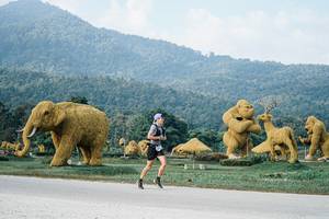 BIB: 
                            <button type="button" onclick="openModal(25869989)" class="btn btn-primary btn-sm float-right btn-popup" data-toggle="modal" data-target=".modal-high-quality">
                        <i class="fas fa-shopping-cart"></i> Add to Cart
                    </button>
                                            <button type="button" onclick="isThisMe(25869989, true)" class="btn btn-success btn-sm float-right btn-popup btn-isme hidden" data-toggle="tooltip" data-placement="bottom" title="นี่คือรูปของคุณใช่ไหม คลิกที่นี่เพื่อเอาเข้าอัลบั้ม">
                        <i class="fas fa-plus"></i> Add to album
                    </button>
                    <button type="button" onclick="isThisMe(25869989, false)" class="btn btn-warning btn-sm float-right btn-popup btn-isnotme hidden">
                        <i class="fas fa-ban"></i> Remove from album
                    </button>