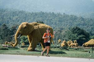 BIB: 
                            <button type="button" onclick="openModal(25973415)" class="btn btn-primary btn-sm float-right btn-popup" data-toggle="modal" data-target=".modal-high-quality">
                        <i class="fas fa-shopping-cart"></i> Add to Cart
                    </button>
                                            <button type="button" onclick="isThisMe(25973415, true)" class="btn btn-success btn-sm float-right btn-popup btn-isme hidden" data-toggle="tooltip" data-placement="bottom" title="นี่คือรูปของคุณใช่ไหม คลิกที่นี่เพื่อเอาเข้าอัลบั้ม">
                        <i class="fas fa-plus"></i> Add to album
                    </button>
                    <button type="button" onclick="isThisMe(25973415, false)" class="btn btn-warning btn-sm float-right btn-popup btn-isnotme hidden">
                        <i class="fas fa-ban"></i> Remove from album
                    </button>