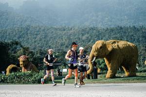 BIB: 
                            <button type="button" onclick="openModal(25882821)" class="btn btn-primary btn-sm float-right btn-popup" data-toggle="modal" data-target=".modal-high-quality">
                        <i class="fas fa-shopping-cart"></i> Add to Cart
                    </button>
                                            <button type="button" onclick="isThisMe(25882821, true)" class="btn btn-success btn-sm float-right btn-popup btn-isme hidden" data-toggle="tooltip" data-placement="bottom" title="นี่คือรูปของคุณใช่ไหม คลิกที่นี่เพื่อเอาเข้าอัลบั้ม">
                        <i class="fas fa-plus"></i> Add to album
                    </button>
                    <button type="button" onclick="isThisMe(25882821, false)" class="btn btn-warning btn-sm float-right btn-popup btn-isnotme hidden">
                        <i class="fas fa-ban"></i> Remove from album
                    </button>