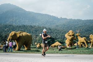 BIB: 
                            <button type="button" onclick="openModal(25880353)" class="btn btn-primary btn-sm float-right btn-popup" data-toggle="modal" data-target=".modal-high-quality">
                        <i class="fas fa-shopping-cart"></i> Add to Cart
                    </button>
                                            <button type="button" onclick="isThisMe(25880353, true)" class="btn btn-success btn-sm float-right btn-popup btn-isme hidden" data-toggle="tooltip" data-placement="bottom" title="นี่คือรูปของคุณใช่ไหม คลิกที่นี่เพื่อเอาเข้าอัลบั้ม">
                        <i class="fas fa-plus"></i> Add to album
                    </button>
                    <button type="button" onclick="isThisMe(25880353, false)" class="btn btn-warning btn-sm float-right btn-popup btn-isnotme hidden">
                        <i class="fas fa-ban"></i> Remove from album
                    </button>