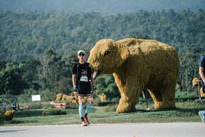 BIB: 
                            <button type="button" onclick="openModal(25998411)" class="btn btn-primary btn-sm float-right btn-popup" data-toggle="modal" data-target=".modal-high-quality">
                        <i class="fas fa-shopping-cart"></i> Add to Cart
                    </button>
                                            <button type="button" onclick="isThisMe(25998411, true)" class="btn btn-success btn-sm float-right btn-popup btn-isme hidden" data-toggle="tooltip" data-placement="bottom" title="นี่คือรูปของคุณใช่ไหม คลิกที่นี่เพื่อเอาเข้าอัลบั้ม">
                        <i class="fas fa-plus"></i> Add to album
                    </button>
                    <button type="button" onclick="isThisMe(25998411, false)" class="btn btn-warning btn-sm float-right btn-popup btn-isnotme hidden">
                        <i class="fas fa-ban"></i> Remove from album
                    </button>