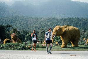 BIB: 
                            <button type="button" onclick="openModal(25893862)" class="btn btn-primary btn-sm float-right btn-popup" data-toggle="modal" data-target=".modal-high-quality">
                        <i class="fas fa-shopping-cart"></i> Add to Cart
                    </button>
                                            <button type="button" onclick="isThisMe(25893862, true)" class="btn btn-success btn-sm float-right btn-popup btn-isme hidden" data-toggle="tooltip" data-placement="bottom" title="นี่คือรูปของคุณใช่ไหม คลิกที่นี่เพื่อเอาเข้าอัลบั้ม">
                        <i class="fas fa-plus"></i> Add to album
                    </button>
                    <button type="button" onclick="isThisMe(25893862, false)" class="btn btn-warning btn-sm float-right btn-popup btn-isnotme hidden">
                        <i class="fas fa-ban"></i> Remove from album
                    </button>