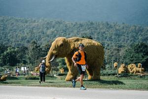 BIB: 
                            <button type="button" onclick="openModal(25923844)" class="btn btn-primary btn-sm float-right btn-popup" data-toggle="modal" data-target=".modal-high-quality">
                        <i class="fas fa-shopping-cart"></i> Add to Cart
                    </button>
                                            <button type="button" onclick="isThisMe(25923844, true)" class="btn btn-success btn-sm float-right btn-popup btn-isme hidden" data-toggle="tooltip" data-placement="bottom" title="นี่คือรูปของคุณใช่ไหม คลิกที่นี่เพื่อเอาเข้าอัลบั้ม">
                        <i class="fas fa-plus"></i> Add to album
                    </button>
                    <button type="button" onclick="isThisMe(25923844, false)" class="btn btn-warning btn-sm float-right btn-popup btn-isnotme hidden">
                        <i class="fas fa-ban"></i> Remove from album
                    </button>