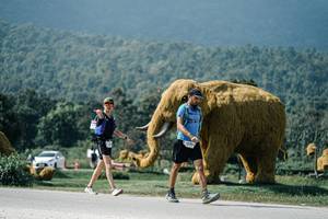 BIB: 
                            <button type="button" onclick="openModal(25931798)" class="btn btn-primary btn-sm float-right btn-popup" data-toggle="modal" data-target=".modal-high-quality">
                        <i class="fas fa-shopping-cart"></i> Add to Cart
                    </button>
                                            <button type="button" onclick="isThisMe(25931798, true)" class="btn btn-success btn-sm float-right btn-popup btn-isme hidden" data-toggle="tooltip" data-placement="bottom" title="นี่คือรูปของคุณใช่ไหม คลิกที่นี่เพื่อเอาเข้าอัลบั้ม">
                        <i class="fas fa-plus"></i> Add to album
                    </button>
                    <button type="button" onclick="isThisMe(25931798, false)" class="btn btn-warning btn-sm float-right btn-popup btn-isnotme hidden">
                        <i class="fas fa-ban"></i> Remove from album
                    </button>