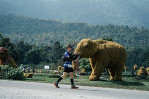 BIB: 
                            <button type="button" onclick="openModal(25962968)" class="btn btn-primary btn-sm float-right btn-popup" data-toggle="modal" data-target=".modal-high-quality">
                        <i class="fas fa-shopping-cart"></i> Add to Cart
                    </button>
                                            <button type="button" onclick="isThisMe(25962968, true)" class="btn btn-success btn-sm float-right btn-popup btn-isme hidden" data-toggle="tooltip" data-placement="bottom" title="นี่คือรูปของคุณใช่ไหม คลิกที่นี่เพื่อเอาเข้าอัลบั้ม">
                        <i class="fas fa-plus"></i> Add to album
                    </button>
                    <button type="button" onclick="isThisMe(25962968, false)" class="btn btn-warning btn-sm float-right btn-popup btn-isnotme hidden">
                        <i class="fas fa-ban"></i> Remove from album
                    </button>