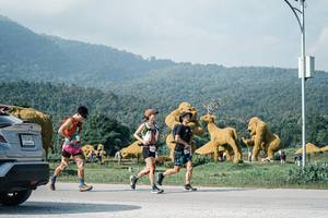 BIB: 
                            <button type="button" onclick="openModal(25877027)" class="btn btn-primary btn-sm float-right btn-popup" data-toggle="modal" data-target=".modal-high-quality">
                        <i class="fas fa-shopping-cart"></i> Add to Cart
                    </button>
                                            <button type="button" onclick="isThisMe(25877027, true)" class="btn btn-success btn-sm float-right btn-popup btn-isme hidden" data-toggle="tooltip" data-placement="bottom" title="นี่คือรูปของคุณใช่ไหม คลิกที่นี่เพื่อเอาเข้าอัลบั้ม">
                        <i class="fas fa-plus"></i> Add to album
                    </button>
                    <button type="button" onclick="isThisMe(25877027, false)" class="btn btn-warning btn-sm float-right btn-popup btn-isnotme hidden">
                        <i class="fas fa-ban"></i> Remove from album
                    </button>