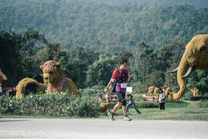 BIB: 
                            <button type="button" onclick="openModal(25899737)" class="btn btn-primary btn-sm float-right btn-popup" data-toggle="modal" data-target=".modal-high-quality">
                        <i class="fas fa-shopping-cart"></i> Add to Cart
                    </button>
                                            <button type="button" onclick="isThisMe(25899737, true)" class="btn btn-success btn-sm float-right btn-popup btn-isme hidden" data-toggle="tooltip" data-placement="bottom" title="นี่คือรูปของคุณใช่ไหม คลิกที่นี่เพื่อเอาเข้าอัลบั้ม">
                        <i class="fas fa-plus"></i> Add to album
                    </button>
                    <button type="button" onclick="isThisMe(25899737, false)" class="btn btn-warning btn-sm float-right btn-popup btn-isnotme hidden">
                        <i class="fas fa-ban"></i> Remove from album
                    </button>