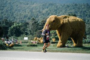 BIB: 
                            <button type="button" onclick="openModal(25925545)" class="btn btn-primary btn-sm float-right btn-popup" data-toggle="modal" data-target=".modal-high-quality">
                        <i class="fas fa-shopping-cart"></i> Add to Cart
                    </button>
                                            <button type="button" onclick="isThisMe(25925545, true)" class="btn btn-success btn-sm float-right btn-popup btn-isme hidden" data-toggle="tooltip" data-placement="bottom" title="นี่คือรูปของคุณใช่ไหม คลิกที่นี่เพื่อเอาเข้าอัลบั้ม">
                        <i class="fas fa-plus"></i> Add to album
                    </button>
                    <button type="button" onclick="isThisMe(25925545, false)" class="btn btn-warning btn-sm float-right btn-popup btn-isnotme hidden">
                        <i class="fas fa-ban"></i> Remove from album
                    </button>